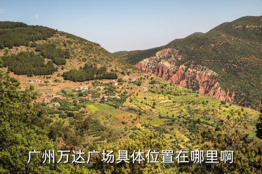 廣州萬達廣場具體位置在哪里啊