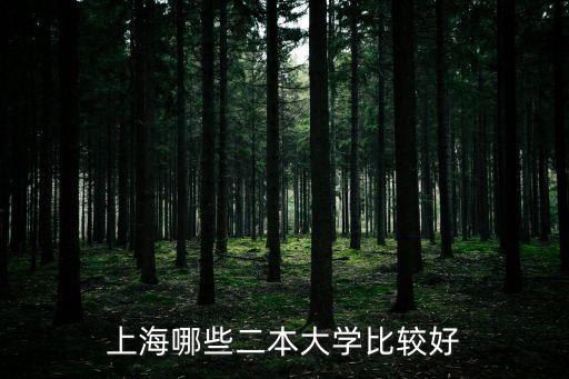 上海哪些二本大學比較好