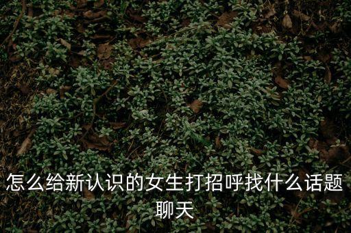 怎么給新認識的女生打招呼找什么話題聊天