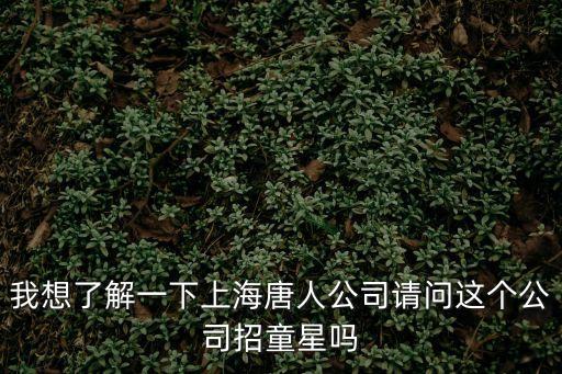 我想了解一下上海唐人公司請問這個公司招童星嗎
