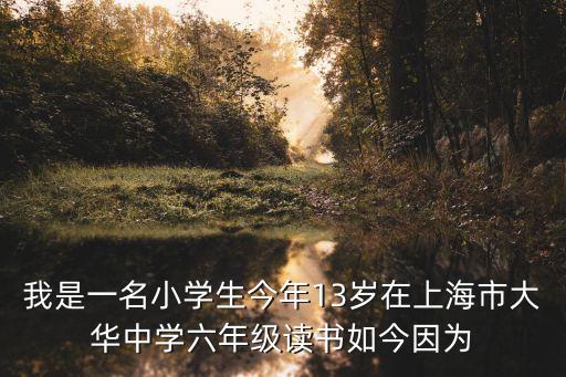 我是一名小學生今年13歲在上海市大華中學六年級讀書如今因為