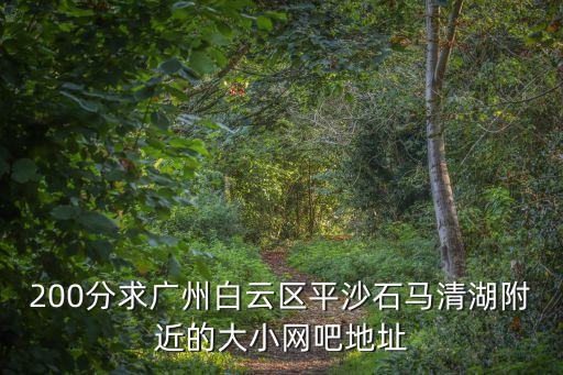 200分求廣州白云區平沙石馬清湖附近的大小網吧地址