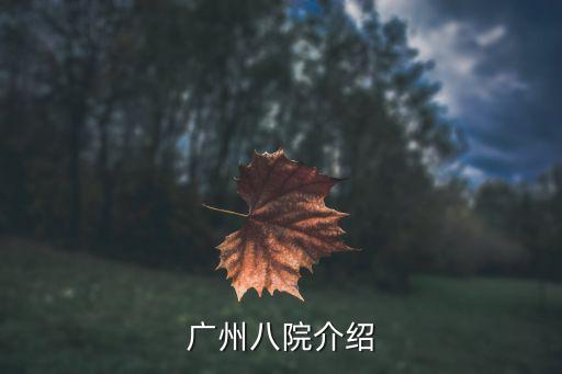 廣州八院病房名單，廣州八院介紹