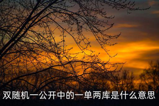 雙隨機一公開中的一單兩庫是什么意思