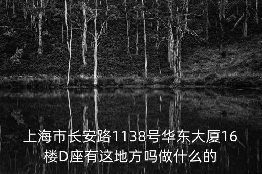 上海市長安路1138號華東大廈16樓D座有這地方嗎做什么的