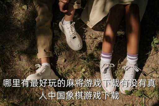 哪里有最好玩的麻將游戲下載有沒(méi)有真人中國(guó)象棋游戲下載
