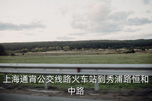上海市所有夜宵線線路圖，從陸家嘴到民生路上海公交夜宵線