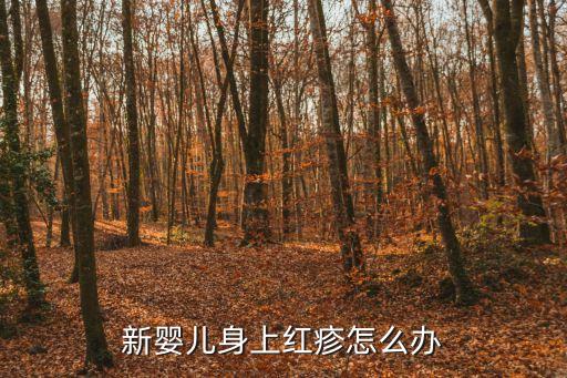 新生兒皮疹，關(guān)于新生嬰兒濕疹的問(wèn)題