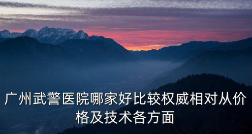 廣州武警醫院哪家好比較權威相對從價格及技術各方面