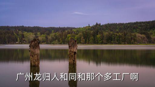 廣州龍歸人和同和那個多工廠啊