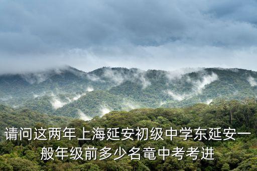 上海市延安初級(jí)中學(xué)趙，請(qǐng)問(wèn)這兩年上海延安初級(jí)中學(xué)東延安一般年級(jí)前多少名竜中考考進(jìn)