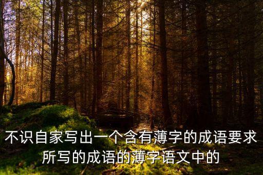 薄的成語，第三個字帶薄字的成語