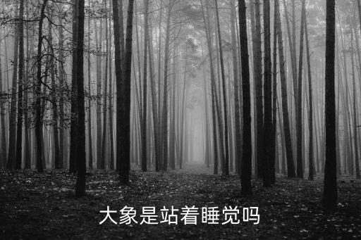 大象睡覺，大象是怎么睡覺的