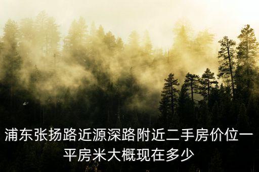 上海市臨港海濱國際花園房價，浦東張揚路近源深路附近二手房價位一平房米大概現在多少