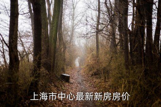 上海市中心最新新房房價
