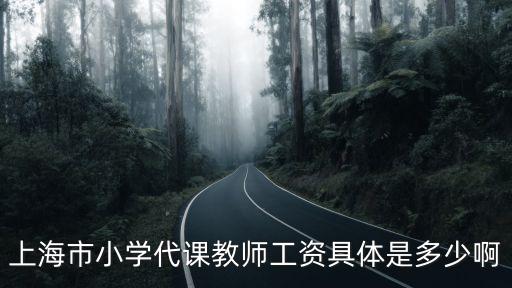 上海市非義務(wù)教師工資標(biāo)準(zhǔn)，上海市小學(xué)代課教師工資具體是多少啊