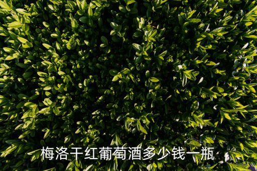 廣州銀典小金羊梅洛紅葡萄酒，梅洛干紅葡萄酒的口感怎樣