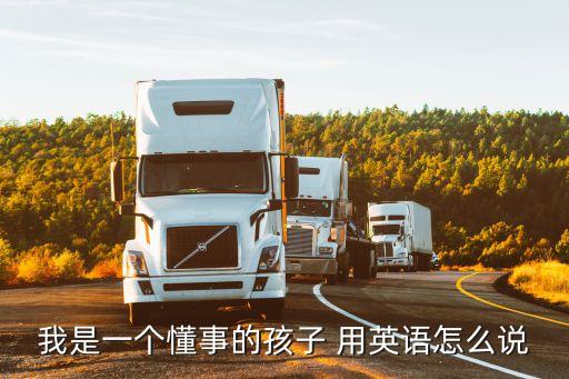我是一個懂事的孩子，我是一個懂事的孩子