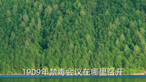 1909年禁毒會(huì)議在哪里召開(kāi)