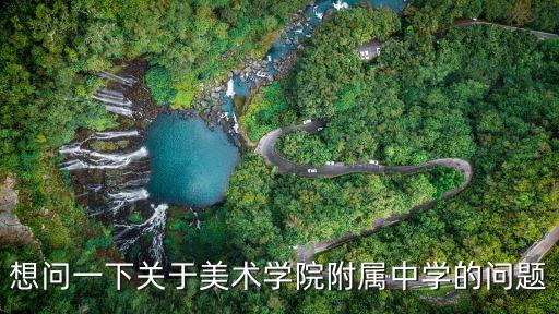 上海市美術學院附中，美院附中是什么和普高或者美術學院有區別嗎