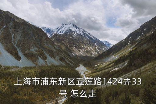 東陸新村七街坊 上海市浦東新區，上海市浦東新區五蓮路1424弄33號 怎么走