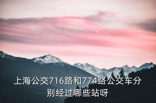 上海市阜新中學地址，楊浦區阜新中學