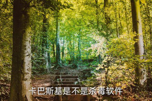 卡巴斯基是不是殺毒軟件