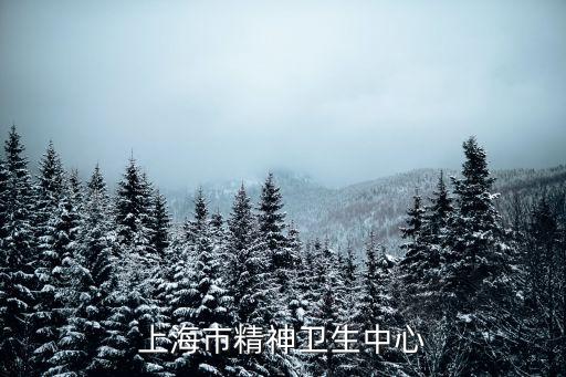上海市 精神衛生社會福利機構，上海市哪家精神衛生中心最好