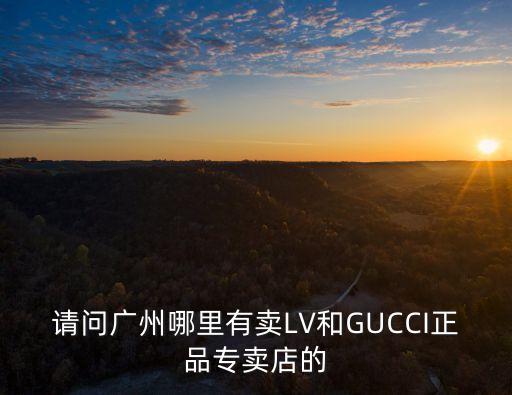 請問廣州哪里有賣LV和GUCCI正品專賣店的