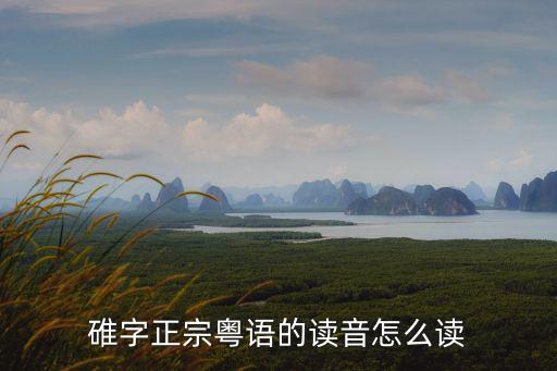 碓字正宗粵語的讀音怎么讀