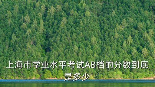 上海市物理合格考幾分能過，求上海會考物理化學生物歷史過去D檔最低的分數線