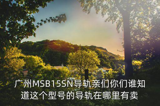 廣州質量好的圓弧導軌，廣州MSB15SN導軌親們你們誰知道這個型號的導軌在哪里有賣