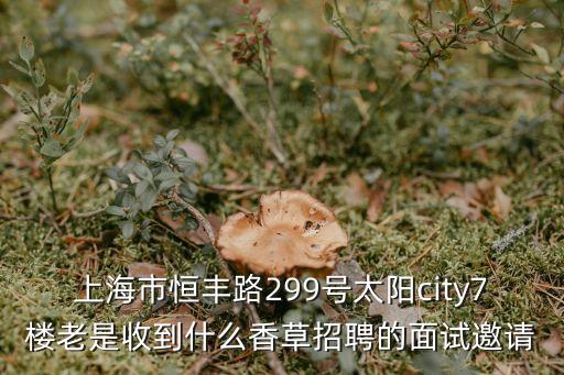 上海市恒豐路299號太陽city7樓老是收到什么香草招聘的面試邀請