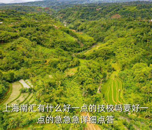上海市 技術(shù)學(xué)校 南匯，上海南匯有什么好一點的技校嗎要好一點的急急急詳細(xì)點答
