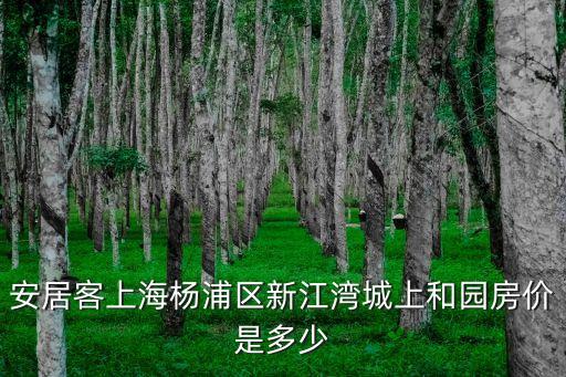 安居客上海楊浦區(qū)新江灣城上和園房價是多少