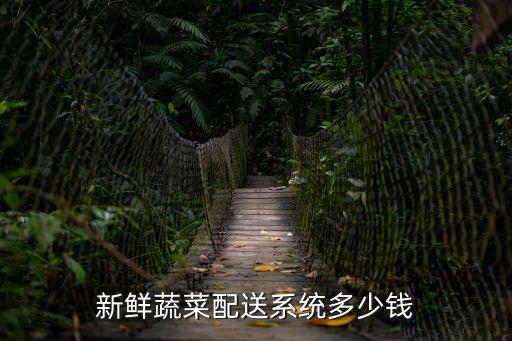 新鮮蔬菜配送系統多少錢