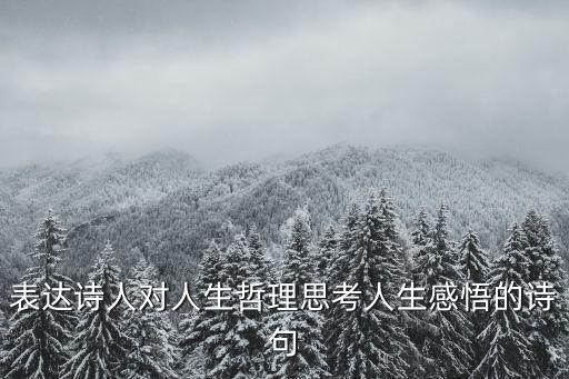 表達詩人對人生哲理思考人生感悟的詩句