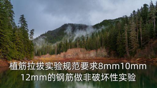 植筋拉拔實驗規范要求8mm10mm12mm的鋼筋做非破壞性實驗