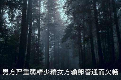 男方嚴(yán)重弱精少精女方輸卵管通而欠暢