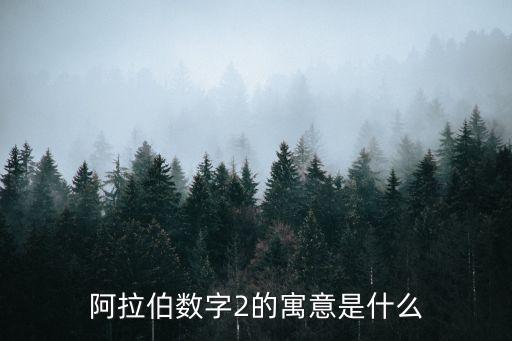 2代表什么意思，數(shù)字2代表什么意思
