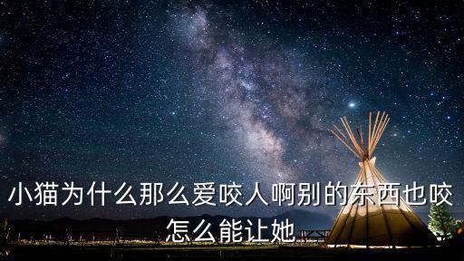 小貓為什么那么愛(ài)咬人啊別的東西也咬怎么能讓她