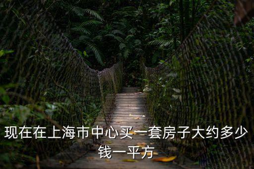 上海市中心大平層多少錢，上海市中心現在的房價是多少錢一平米要新蓋的房