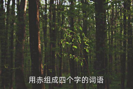 用赤組成四個字的詞語