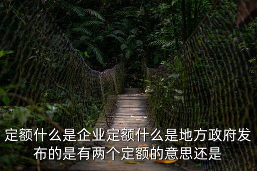 定額什么是企業定額什么是地方政府發布的是有兩個定額的意思還是