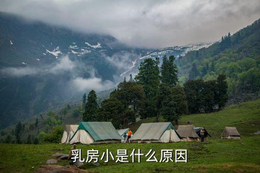 胸小的原因有哪些，胸小的原因是什么
