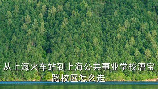從上?；疖囌镜缴虾９彩聵I學校漕寶路校區怎么走