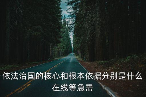 依法治國的原則，依法治國的核心和根本依據分別是什么在線等急需