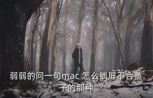 弱弱的問一句mac 怎么鎖屏不合蓋子的那種