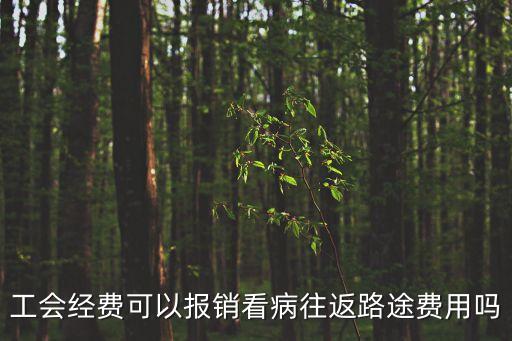 工會經(jīng)費(fèi)可以報(bào)銷看病往返路途費(fèi)用嗎