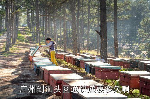 廣州到汕頭市潮陽區棉城物流，廣州托運東西回汕頭潮陽棉城